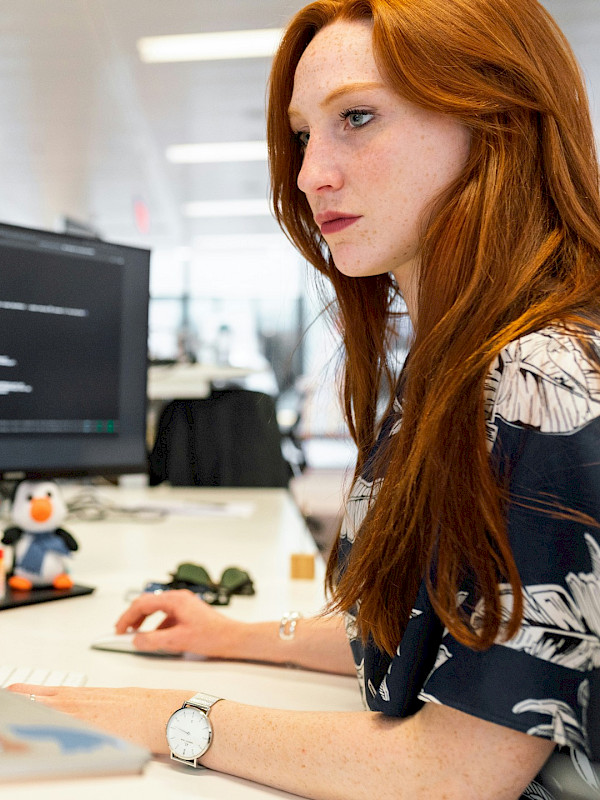 Software-Entwickler (m/w/d)